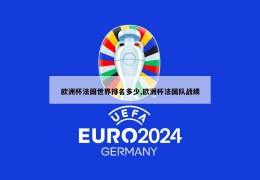 欧洲杯法国世界排名多少,欧洲杯法国队战绩