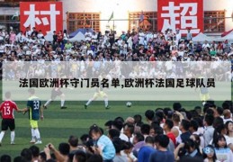 法国欧洲杯守门员名单,欧洲杯法国足球队员