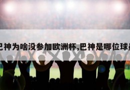 巴神为啥没参加欧洲杯,巴神是哪位球员