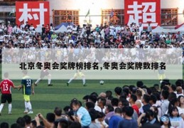 北京冬奥会奖牌榜排名,冬奥会奖牌数排名