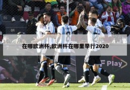 在哪欧洲杯,欧洲杯在哪里举行2020