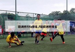 欧洲杯fifa排名,f组欧洲杯排名