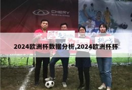 2024欧洲杯数据分析,2024欧洲杯杯