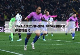 2024法国欧洲杯集锦,2024法国欧洲杯集锦图片