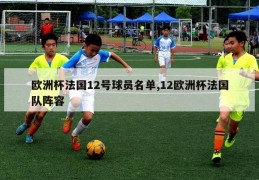 欧洲杯法国12号球员名单,12欧洲杯法国队阵容