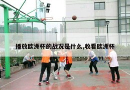 播放欧洲杯的战况是什么,收看欧洲杯